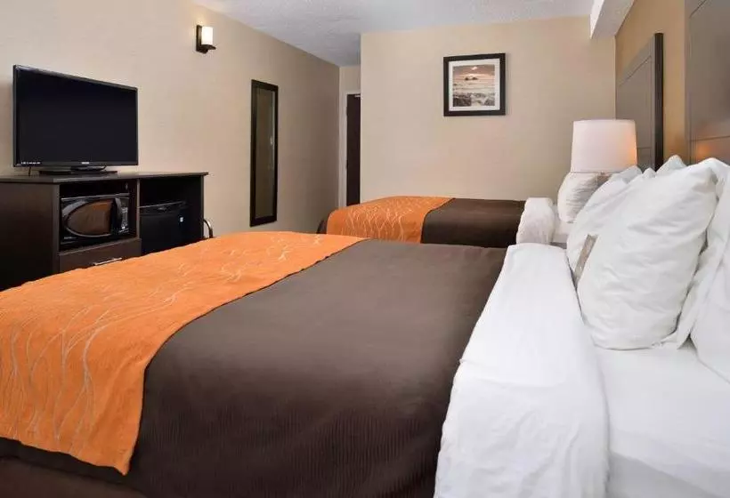 酒店 Comfort Inn Brampton