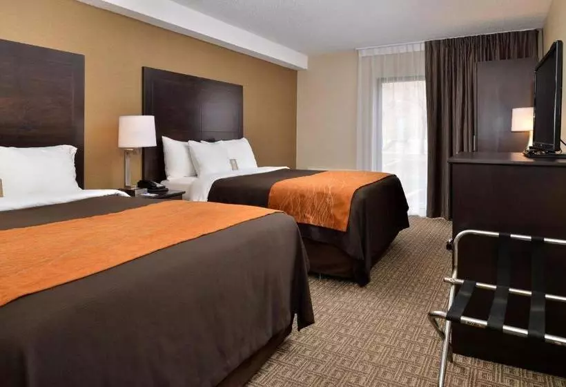 酒店 Comfort Inn Brampton