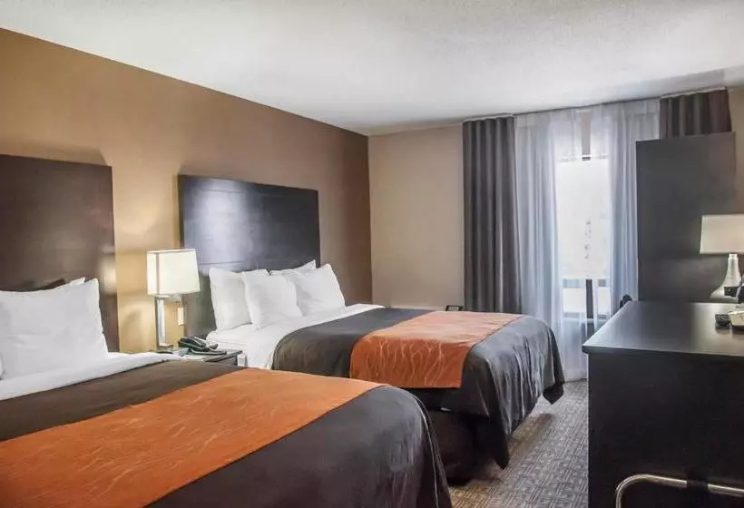 酒店 Comfort Inn Brampton