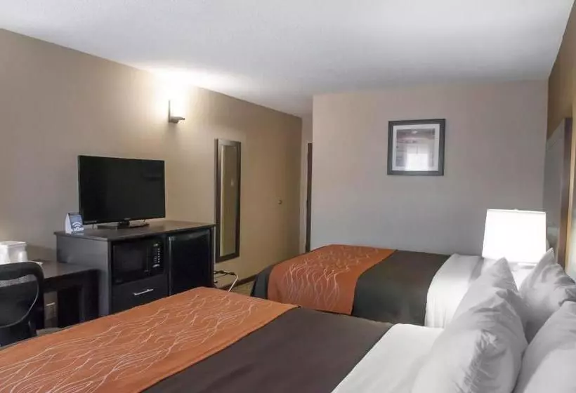 酒店 Comfort Inn Brampton