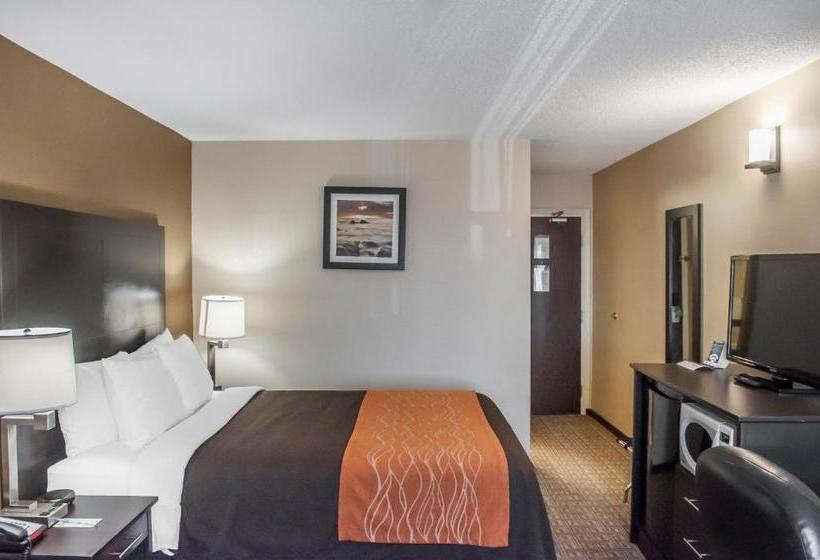 Отель Comfort Inn Brampton