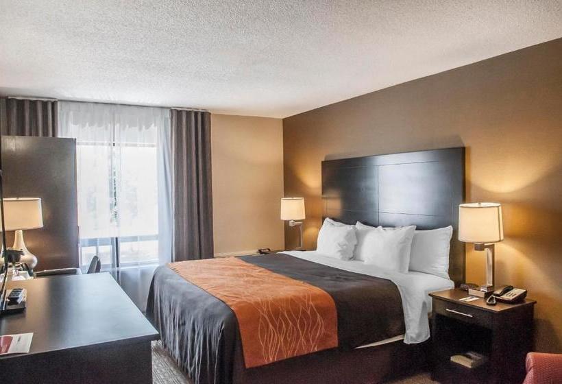 Отель Comfort Inn Brampton