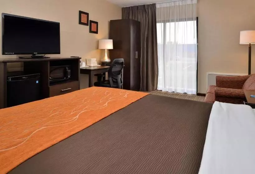 酒店 Comfort Inn Brampton