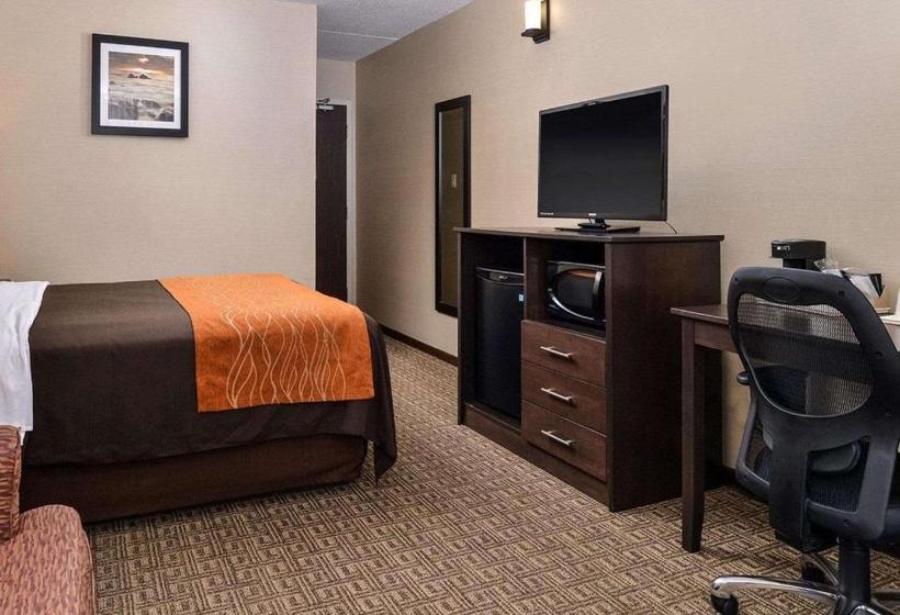 Отель Comfort Inn Brampton