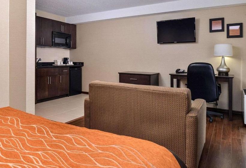 Отель Comfort Inn Brampton