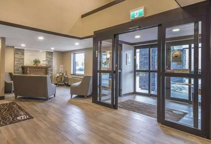 ホテル Comfort Inn