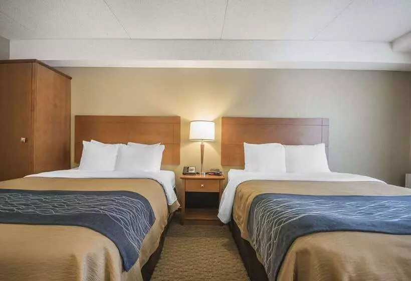 ホテル Comfort Inn