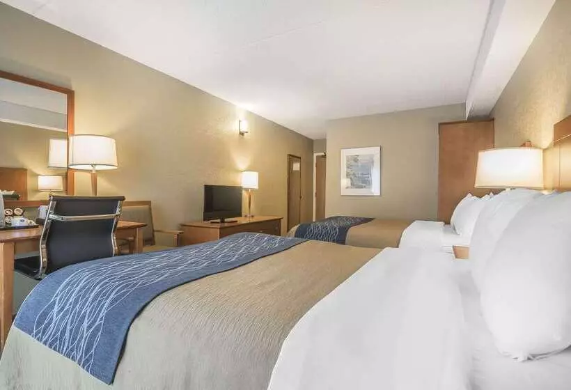 ホテル Comfort Inn