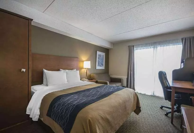 ホテル Comfort Inn