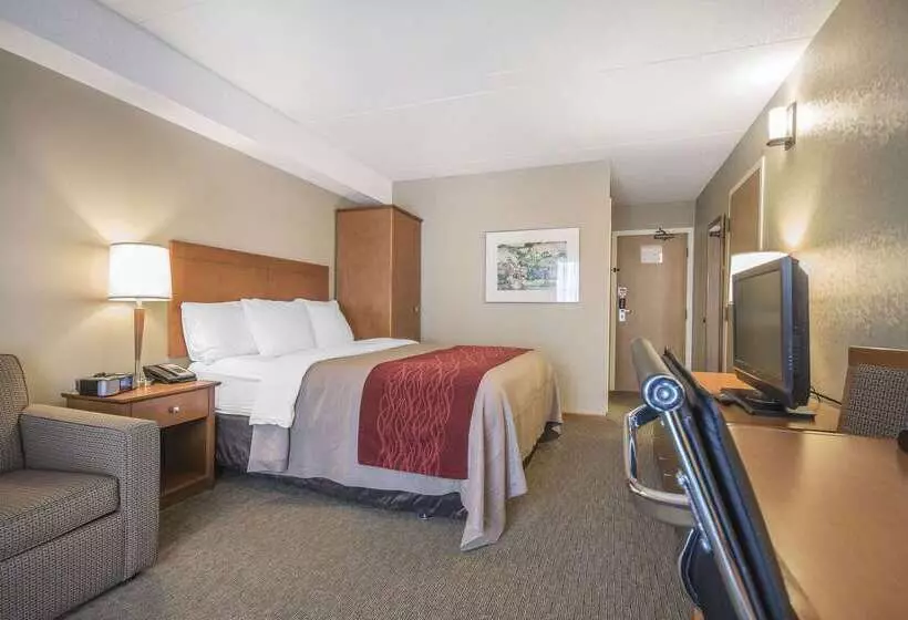 ホテル Comfort Inn