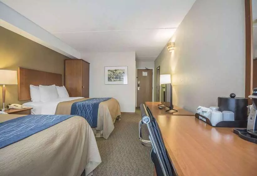 ホテル Comfort Inn