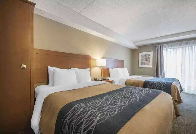 ホテル Comfort Inn