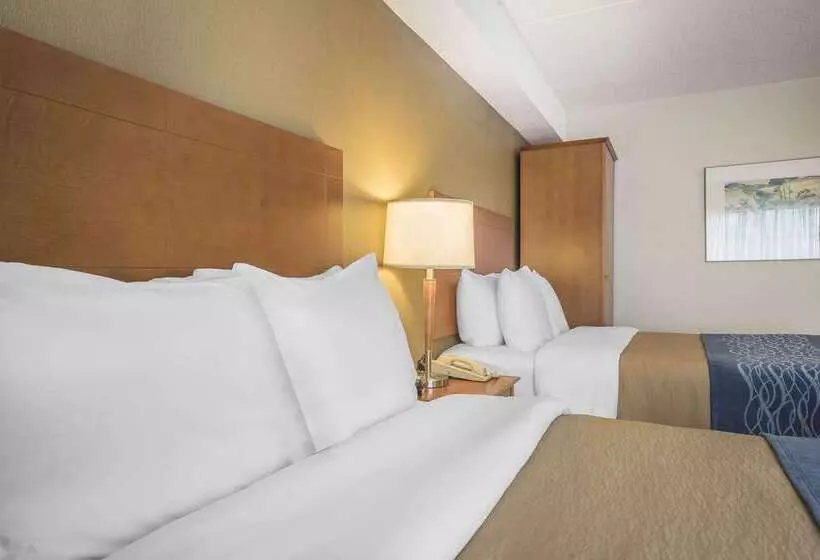 ホテル Comfort Inn