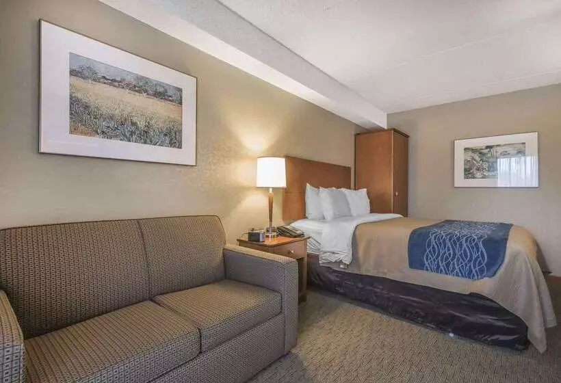 ホテル Comfort Inn