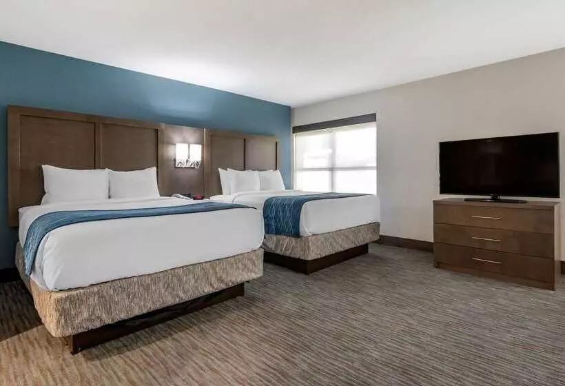 בית מלון כפרי Comfort Inn & Suites Downtown Brickell Port Of Miami