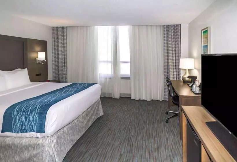 בית מלון כפרי Comfort Inn & Suites Downtown Brickell Port Of Miami