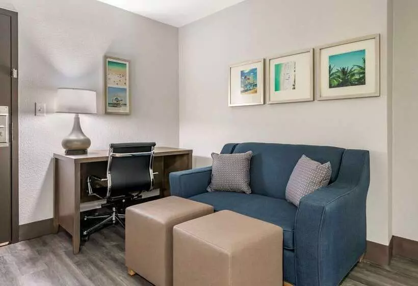 בית מלון כפרי Comfort Inn & Suites Downtown Brickell Port Of Miami