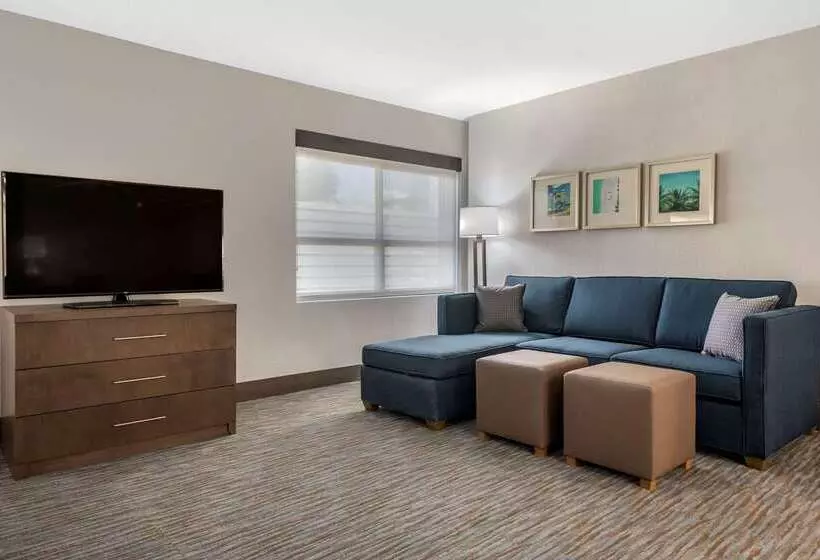 בית מלון כפרי Comfort Inn & Suites Downtown Brickell Port Of Miami