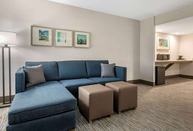 هتل Comfort Inn & Suites Downtown Brickell Port Of Miami