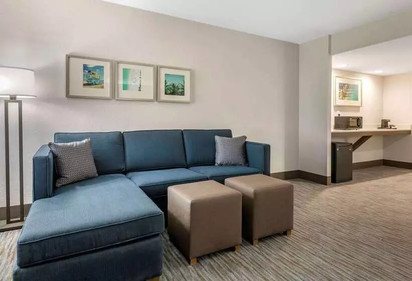 בית מלון כפרי Comfort Inn & Suites Downtown Brickell Port Of Miami
