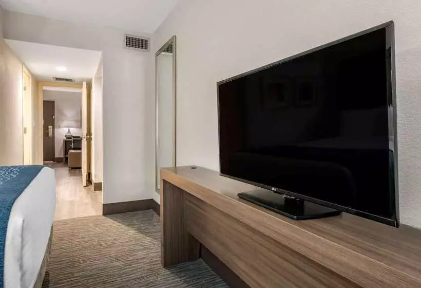 酒店 Comfort Inn & Suites Downtown Brickell Port Of Miami