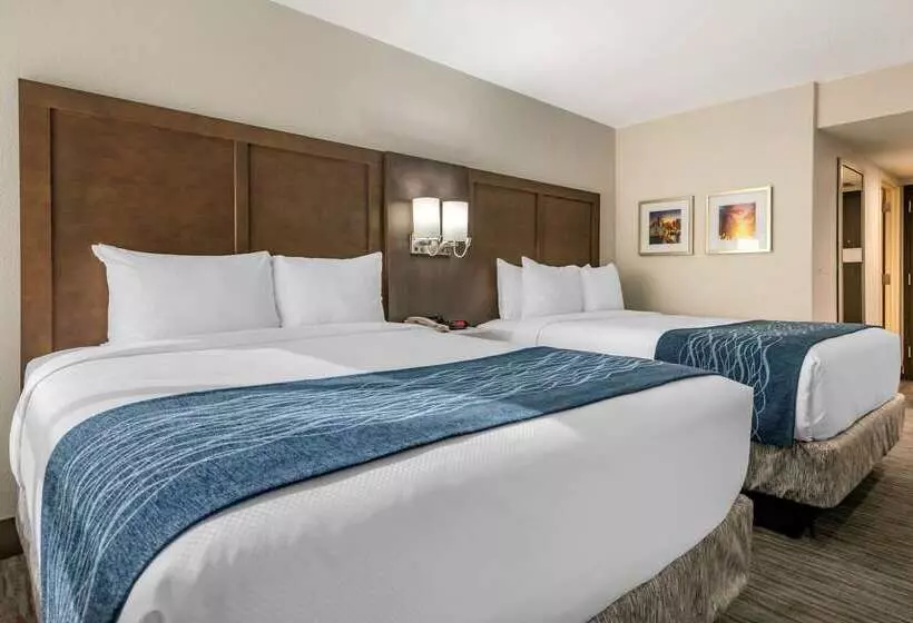 בית מלון כפרי Comfort Inn & Suites Downtown Brickell Port Of Miami