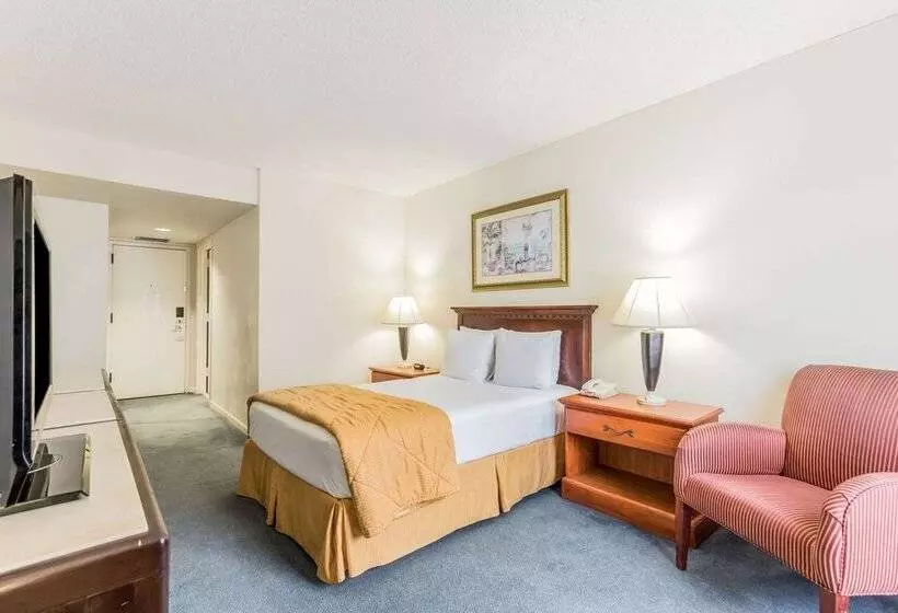 בית מלון כפרי Comfort Inn & Suites Downtown Brickell Port Of Miami