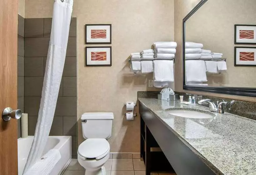 호텔 Comfort Suites Near Vancouver Mall