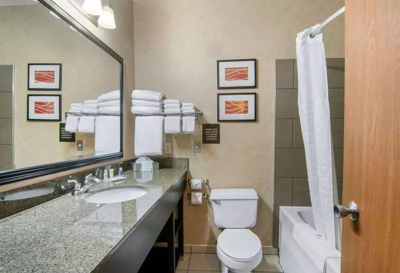 호텔 Comfort Suites Near Vancouver Mall