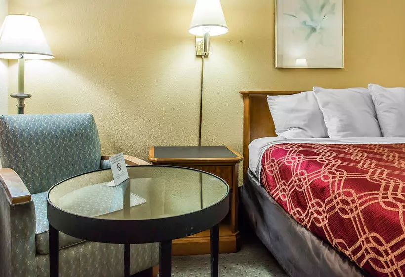 Отель Economy Inn