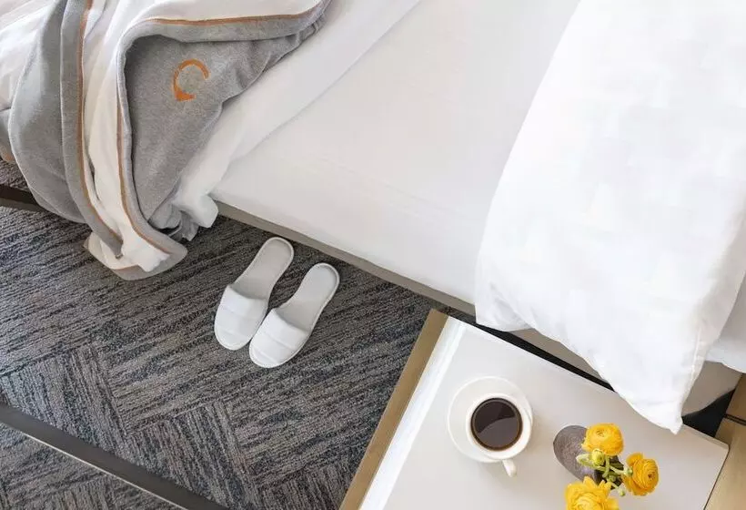 ホテル Hyatt Centric Santa Clara Silicon Valley