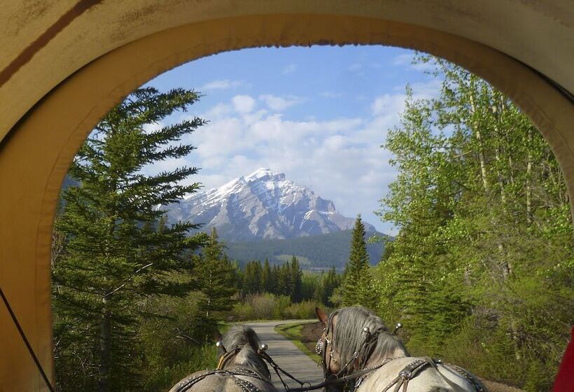 هتل Irwin's Mountain Inn