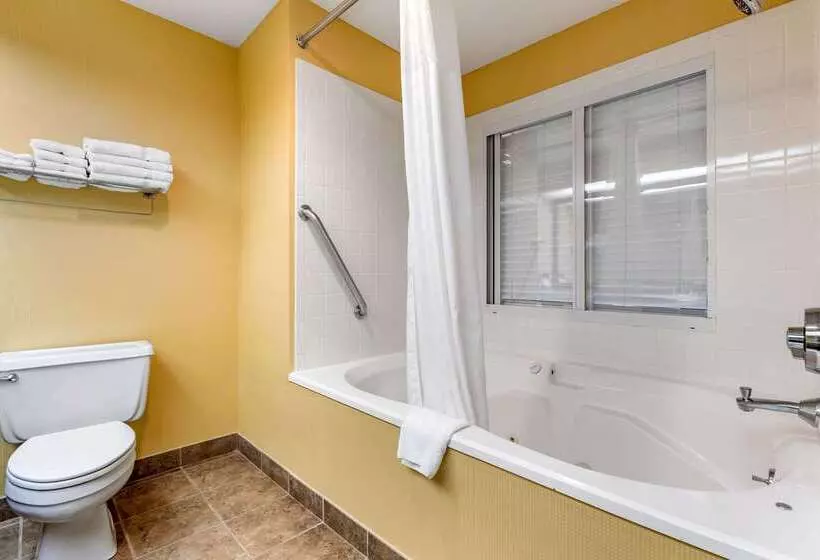 בית מלון כפרי Comfort Inn & Suites