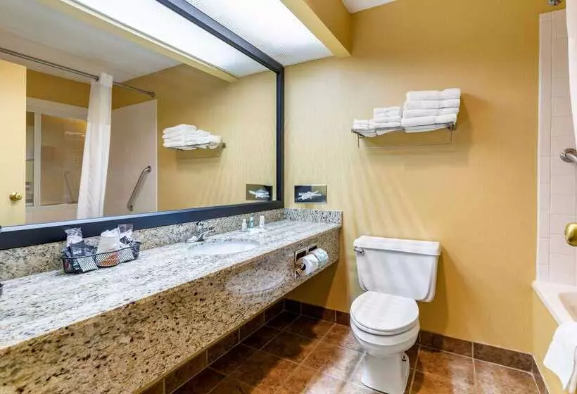 בית מלון כפרי Comfort Inn & Suites