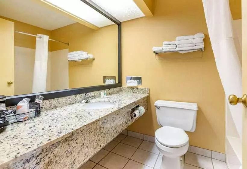 בית מלון כפרי Comfort Inn & Suites