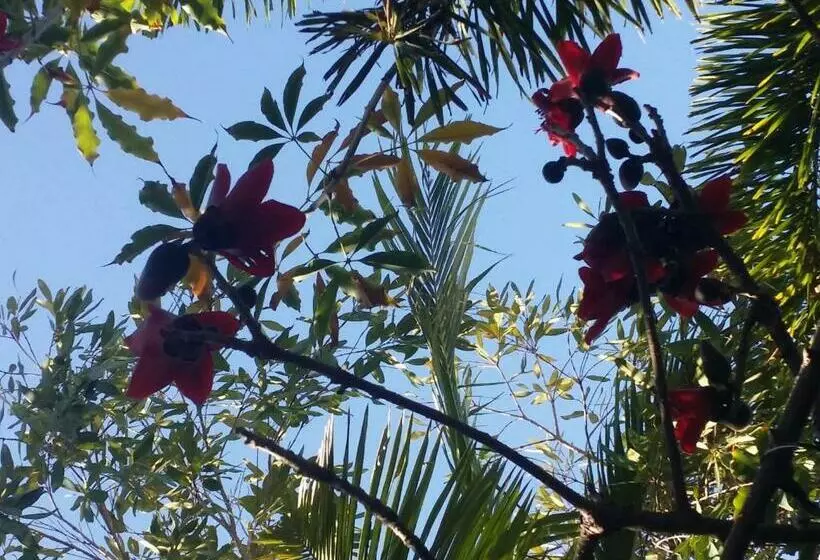 ホテル Reef Lodge Backpackers