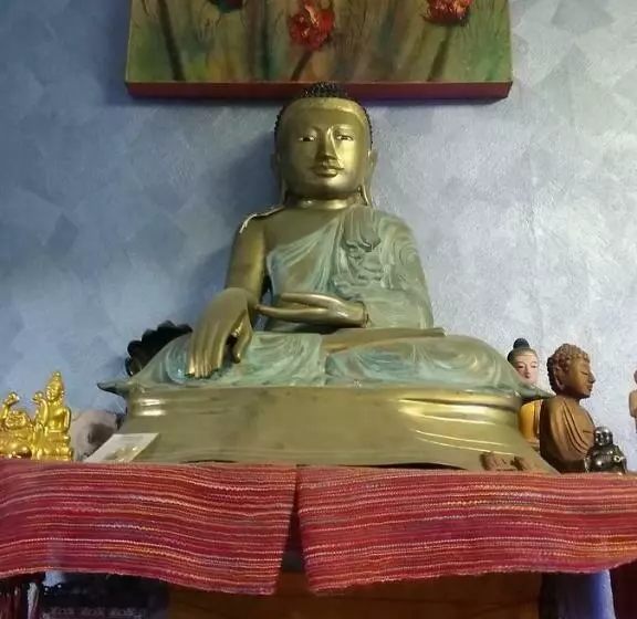 ホテル Reef Lodge Backpackers