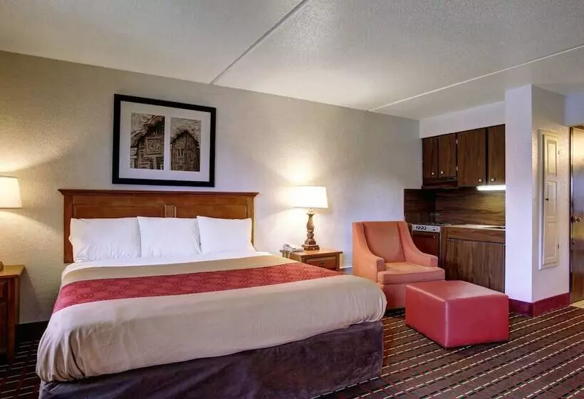 هتل Rodeway Inn New Braunfels