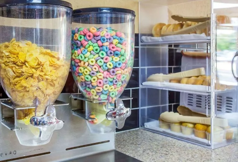 호텔 Rodeway Inn Stone Mountain