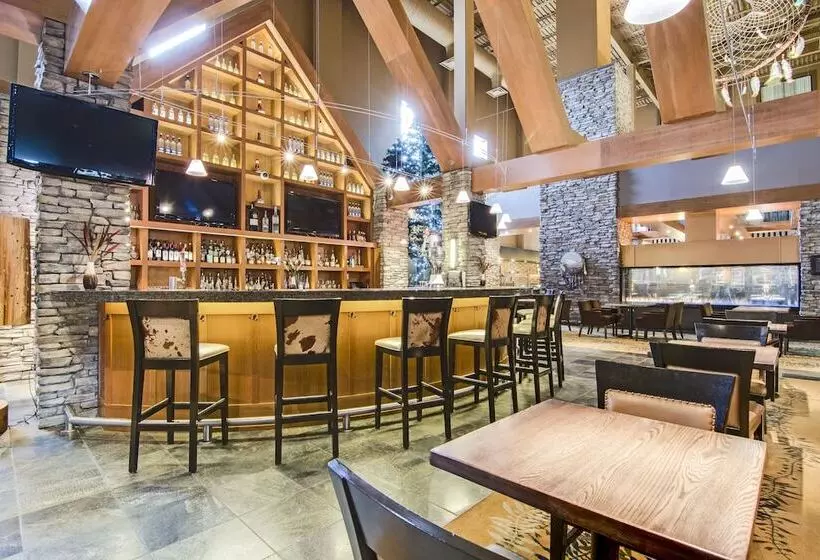 ホテル Sawridge Inn And Conference Centre Edmonton South