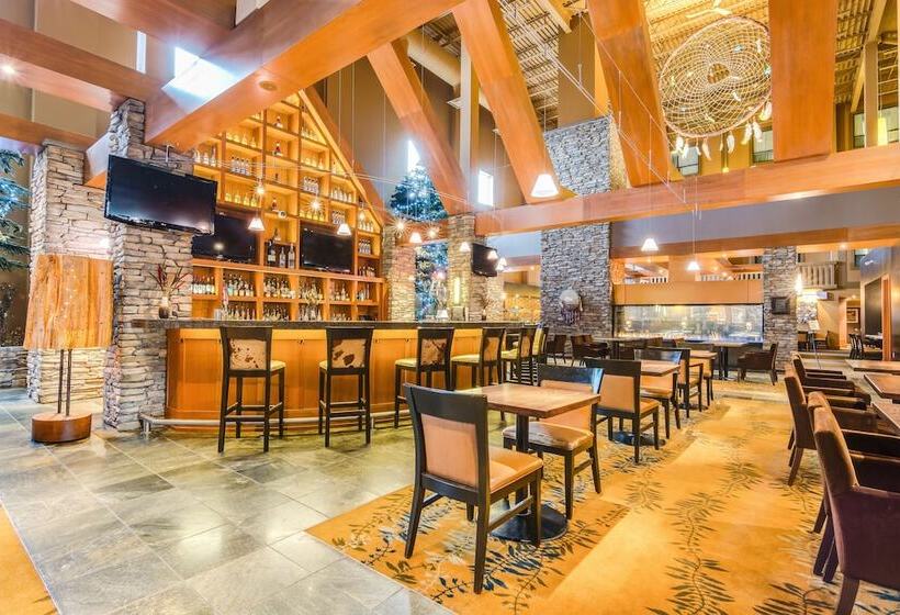 Hotel Sawridge Inn And Conference Centre Edmonton South