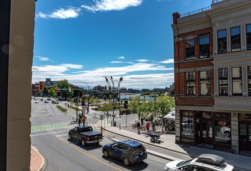 בית מלון כפרי Swans Brewery, Pub &