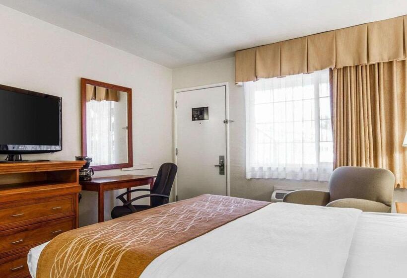 فندق The Inn At 1252 Monterey