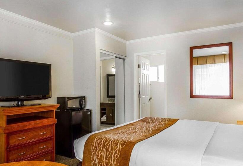 فندق The Inn At 1252 Monterey