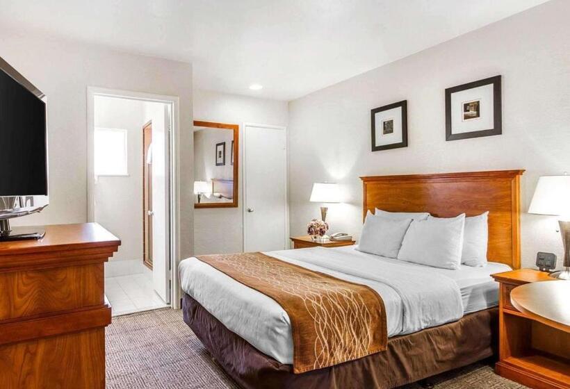 فندق The Inn At 1252 Monterey