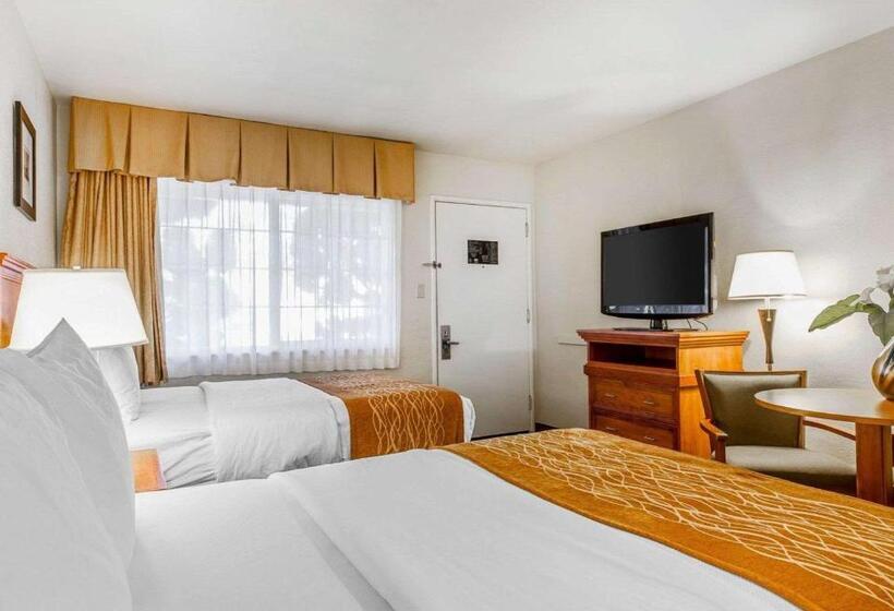 فندق The Inn At 1252 Monterey