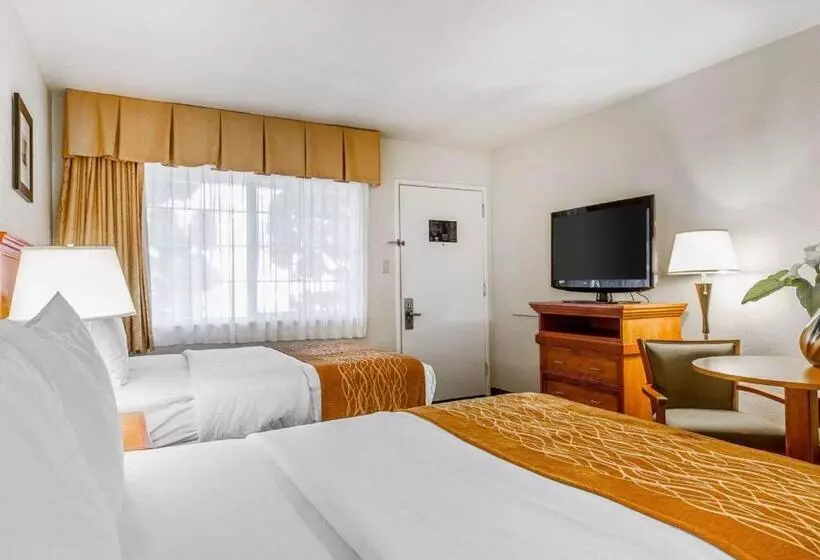 בית מלון כפרי The Inn At 1252 Monterey