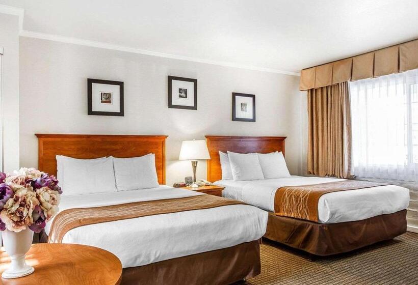 فندق The Inn At 1252 Monterey