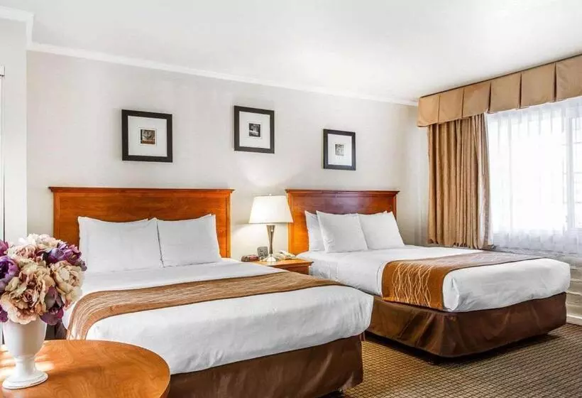 בית מלון כפרי The Inn At 1252 Monterey