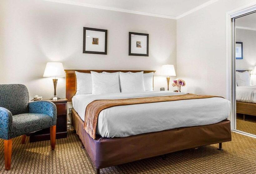 فندق The Inn At 1252 Monterey